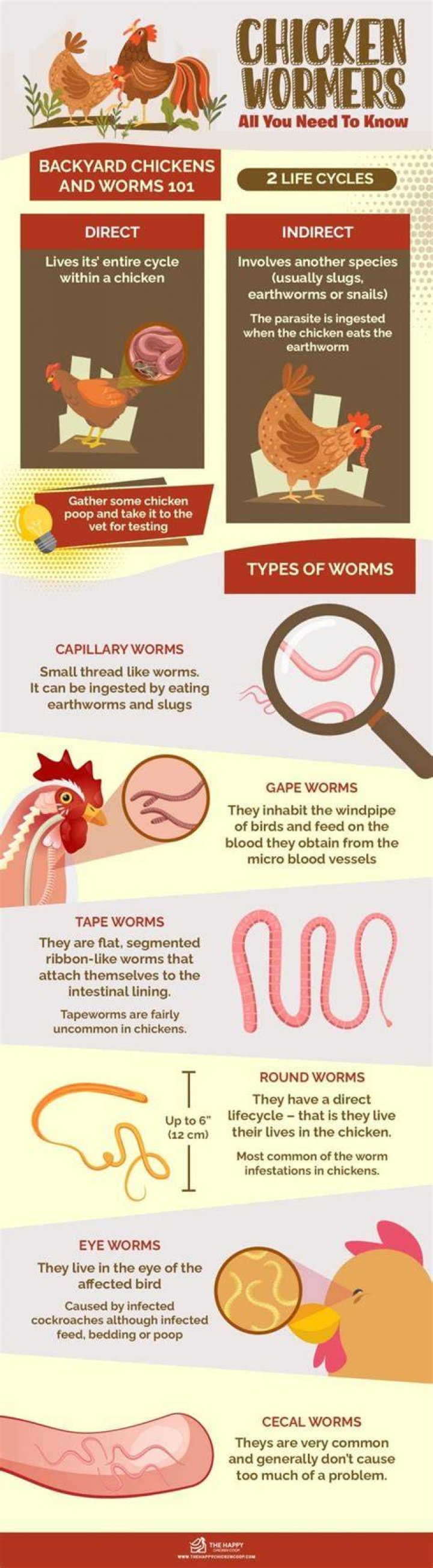 How can you tell if your chickens have worms?