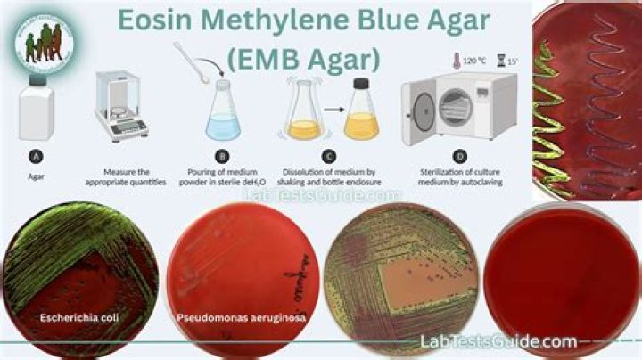 How can you tell the difference between E. coli and salmonella?