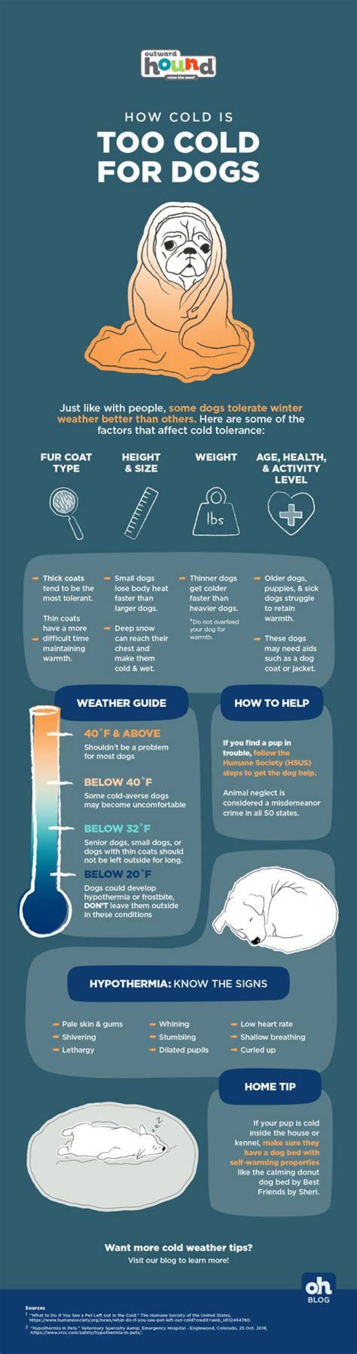 How cold is it during a blizzard?
