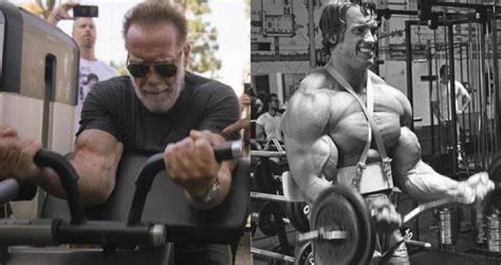 How did Arnold trained calves?