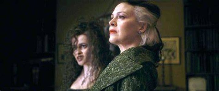 How did Bellatrix get pregnant?