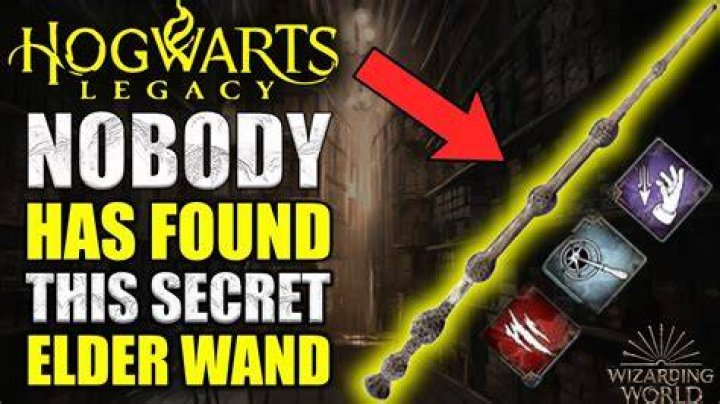 How did Harry know the Elder Wand belonged to him?
