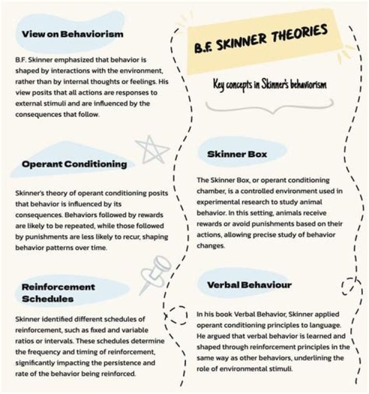 How did Skinner influence education?