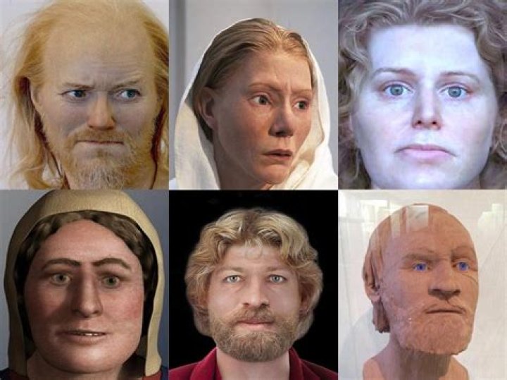 How did Vikings look?