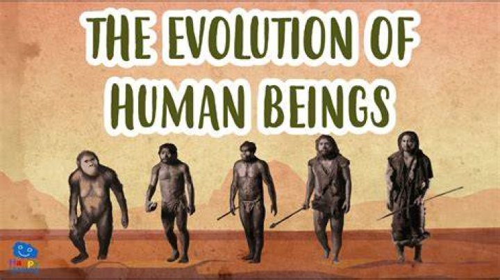 How different are humans from each other?