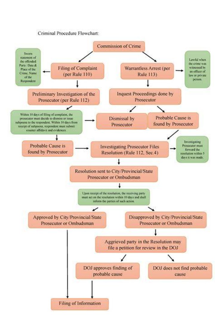 How do criminal proceedings start?