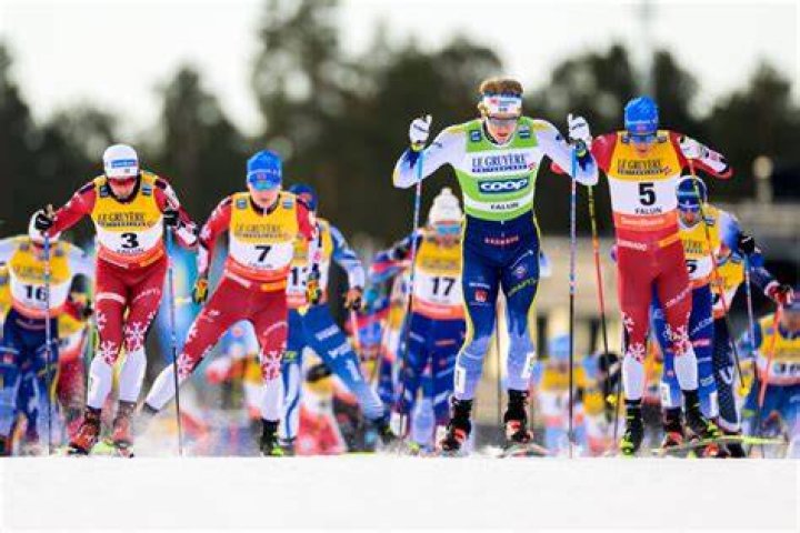 How do cross country ski skins work?