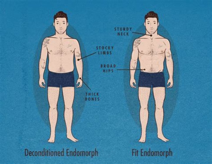 How do Endomorphs get big?