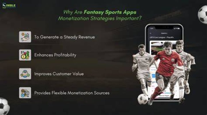 How do fantasy sports make money?