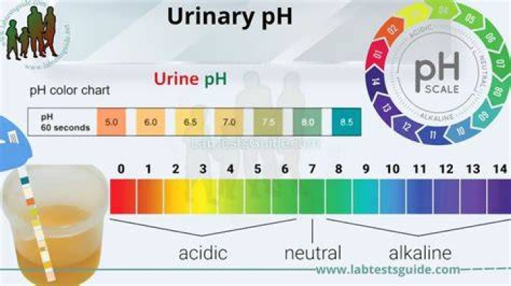 How do I balance the pH of my urine?