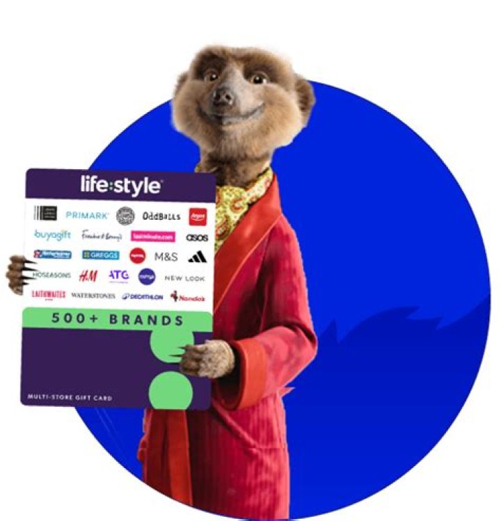 How do I claim my Meerkat rewards?