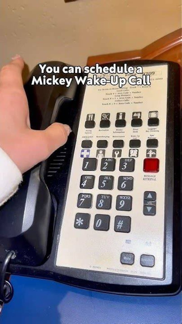 How do I get a Mickey wake up call?