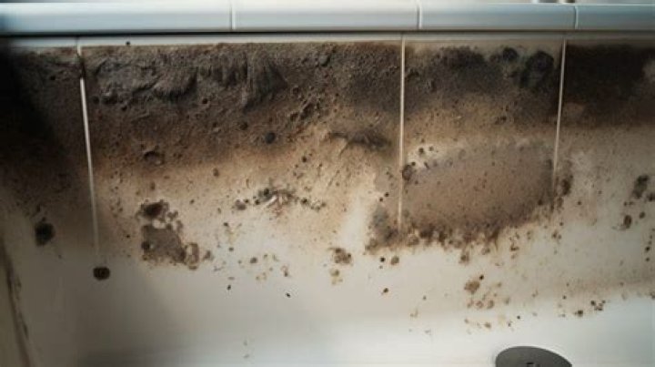 How do I get black mold out of my Jacuzzi jets?