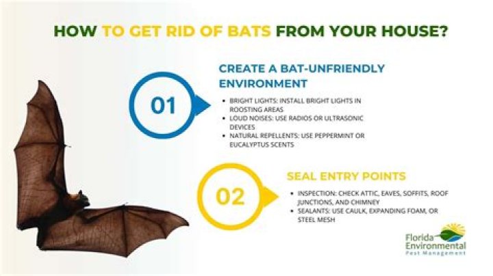 How do I get rid of bats in my house naturally?