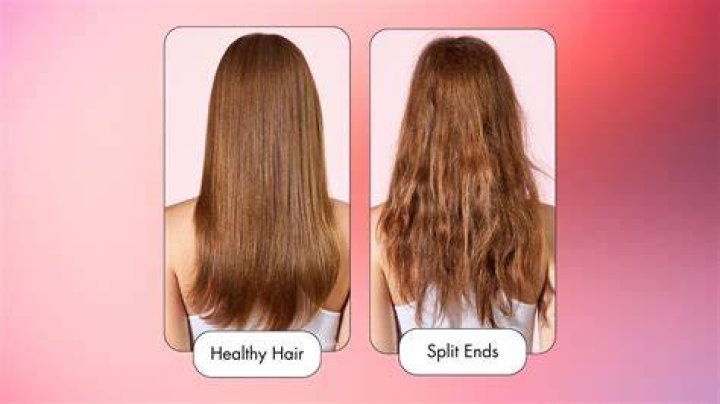 How do I get the ends of my hair healthy?