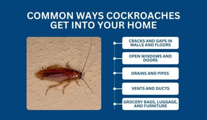 How do I keep roaches out of my bedroom?