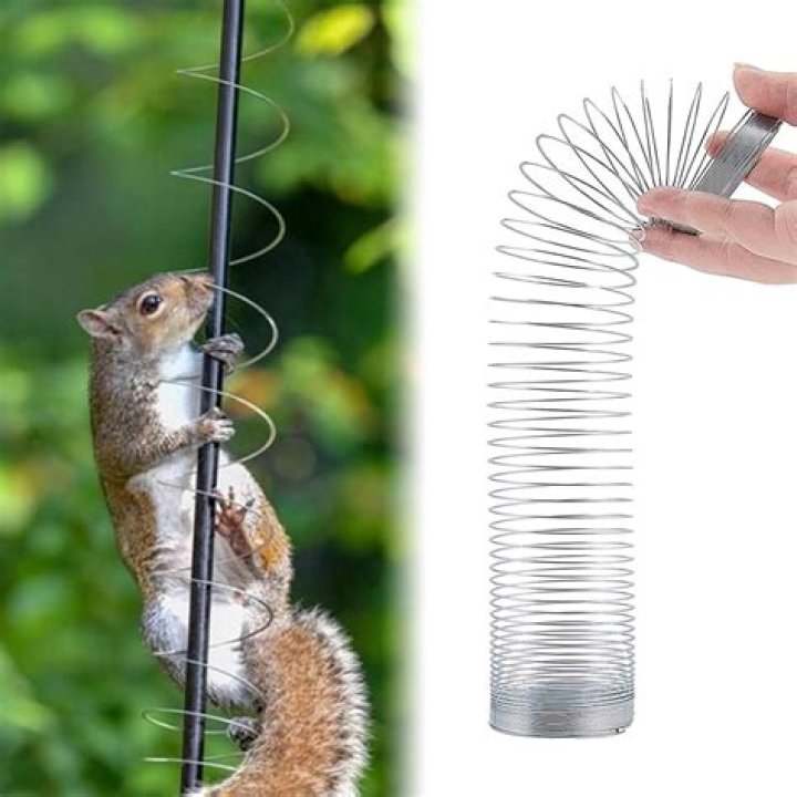 How do I keep squirrels off my shepherd's hook?