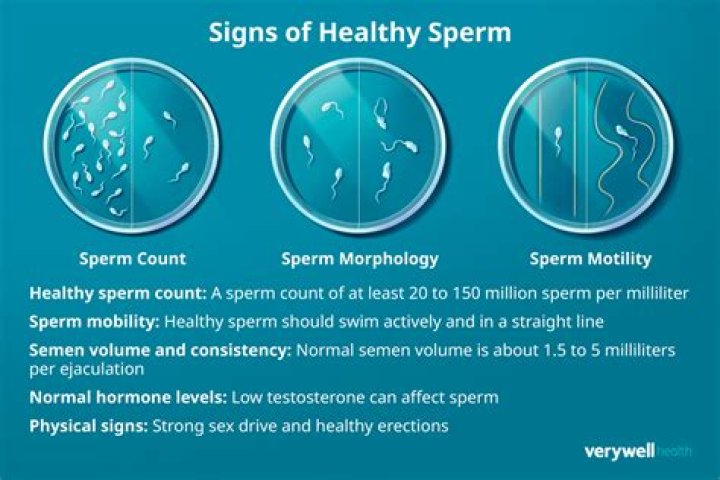 How do I know if my husband has good sperm?
