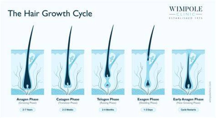 How do I know my hair is growing?