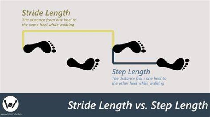 How do I know my step length?
