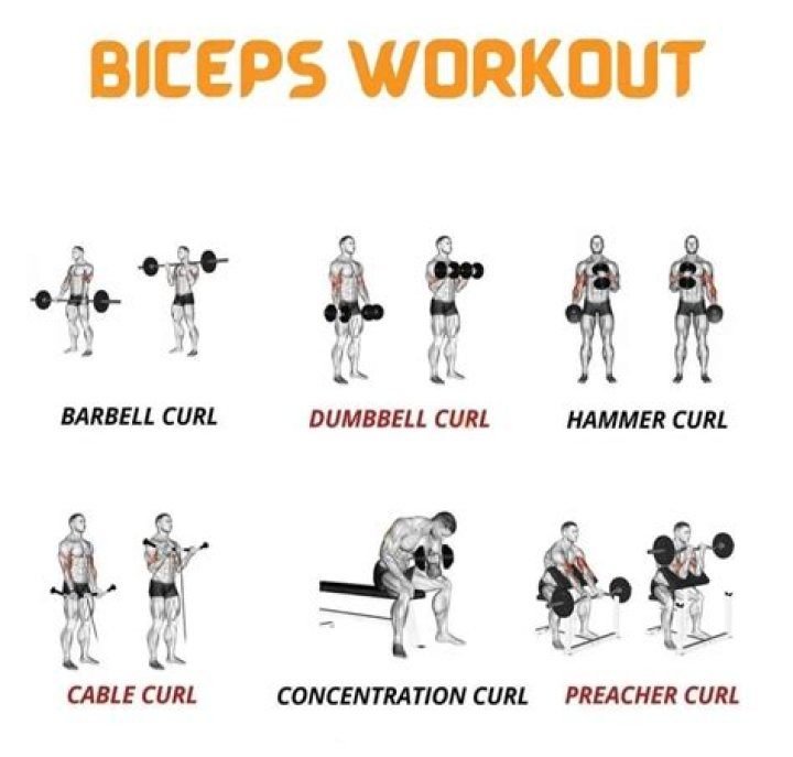 How do I strengthen my biceps?