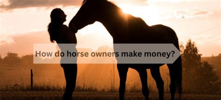 How do team owners make money?