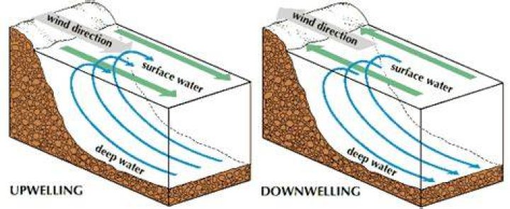 How do upwellings and Downwellings form?