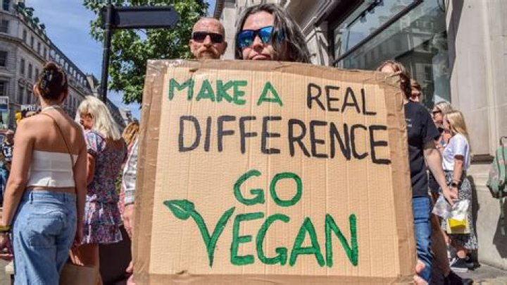 How do vegans feel about wool?