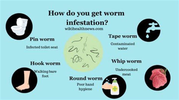 How do you check for worms?