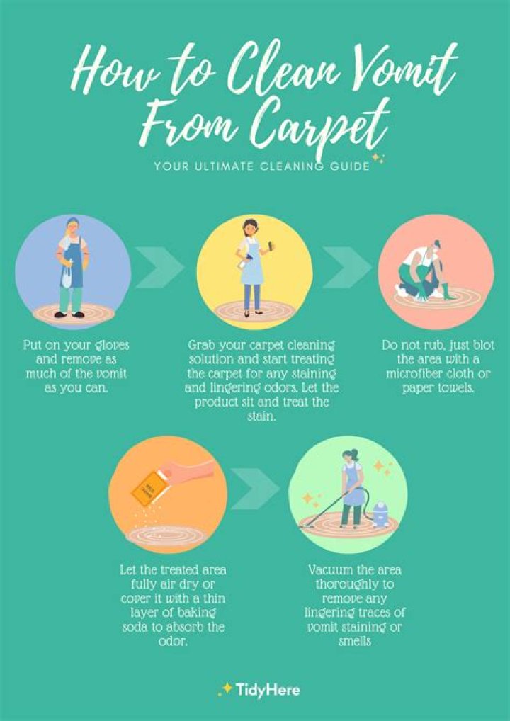 How do you clean vomit out of carpet without a vacuum?