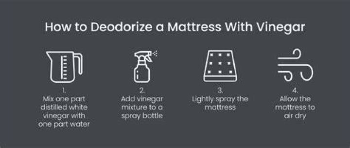 How do you deodorize a backpack without washing it?