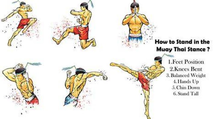 How do you do Muay Thai stance?