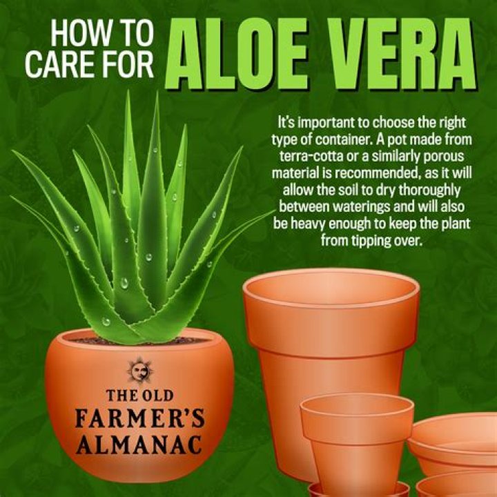 How do you eat aloe vera in the morning?