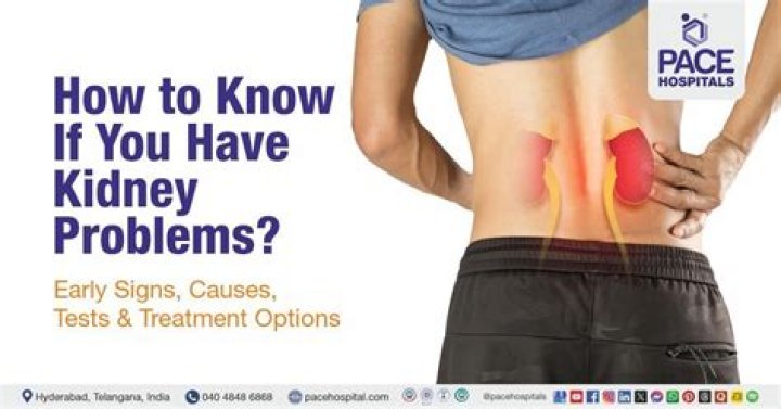 How do you feel when your kidneys aren't functioning properly?
