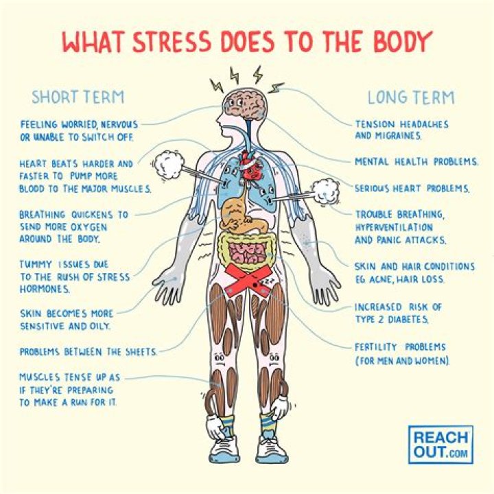 How do you fight stress?