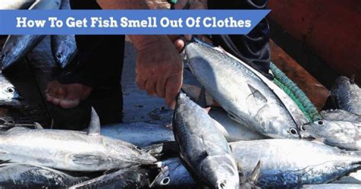 How do you get fish smell out of a backpack?