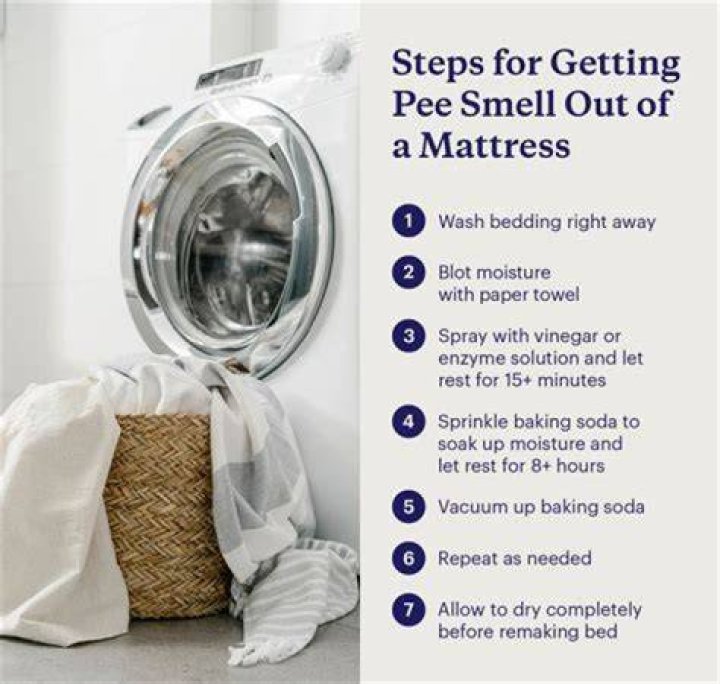 How do you get pee out of memory foam?
