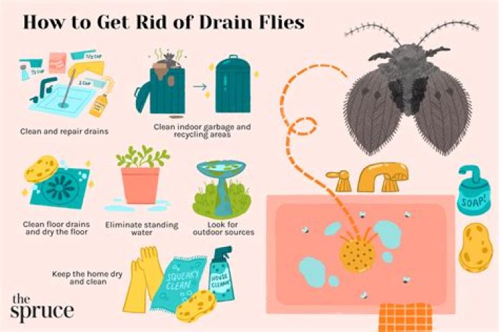 How do you get rid of Allbirds?