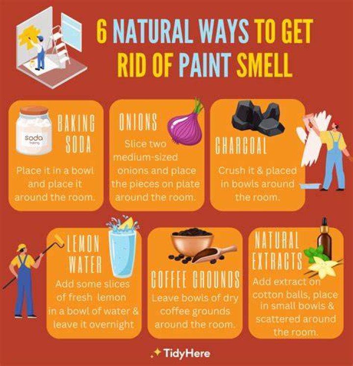 How do you get the smell of puke out of a room?