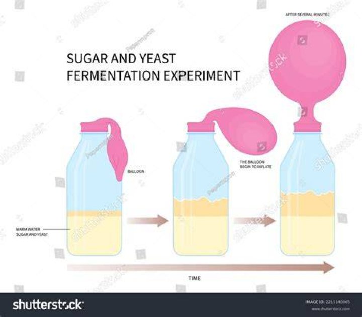 How do you grow yeast for alcohol?