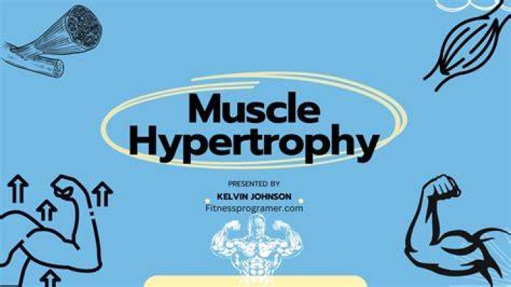 How do you increase muscle size?