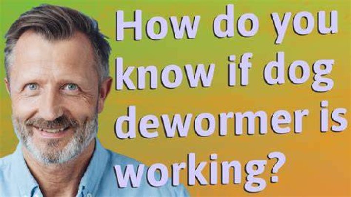 How do you know if dog dewormer is working?