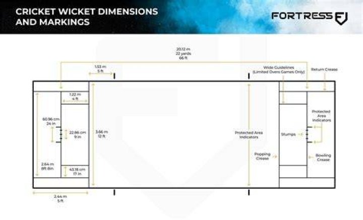 How do you lose a wicket in cricket?