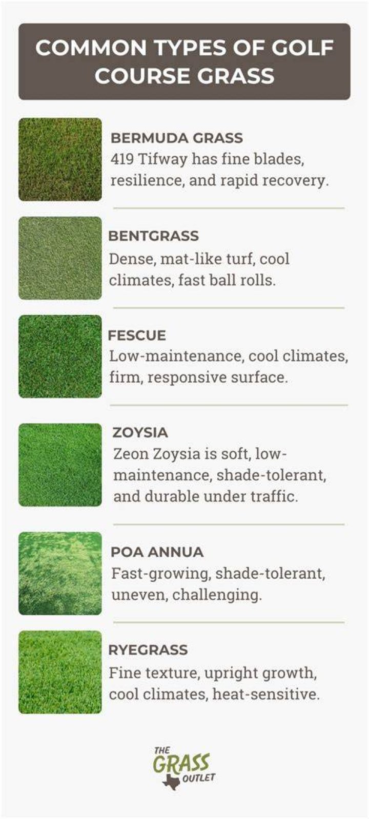 How do you maintain golf course grass?