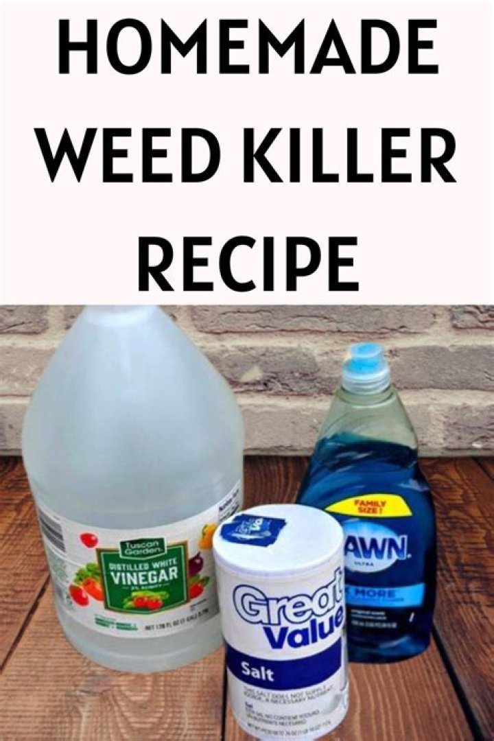 How do you make homemade stump killer?