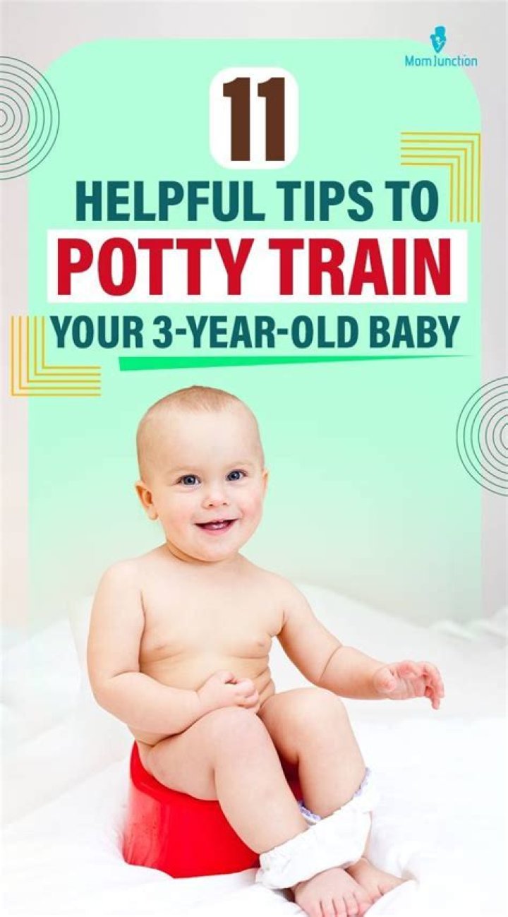 How do you potty train a 3 year old who refuses?