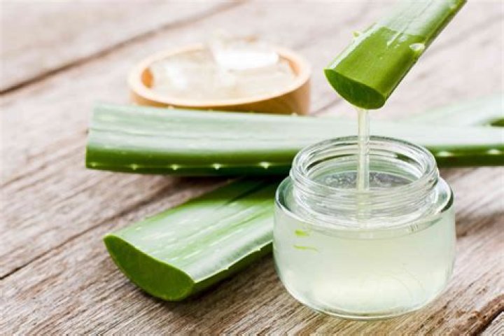 How do you preserve blended aloe vera?