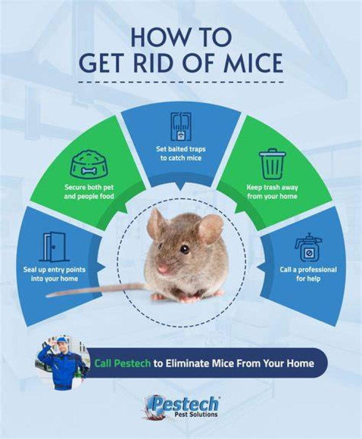 How do you scare away mice?