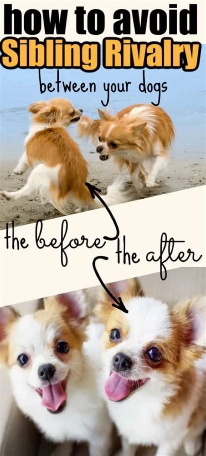 How do you separate a sibling dog?