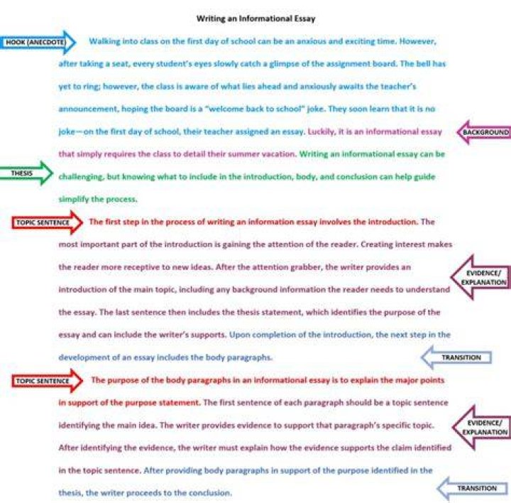 How do you state an example in an essay?